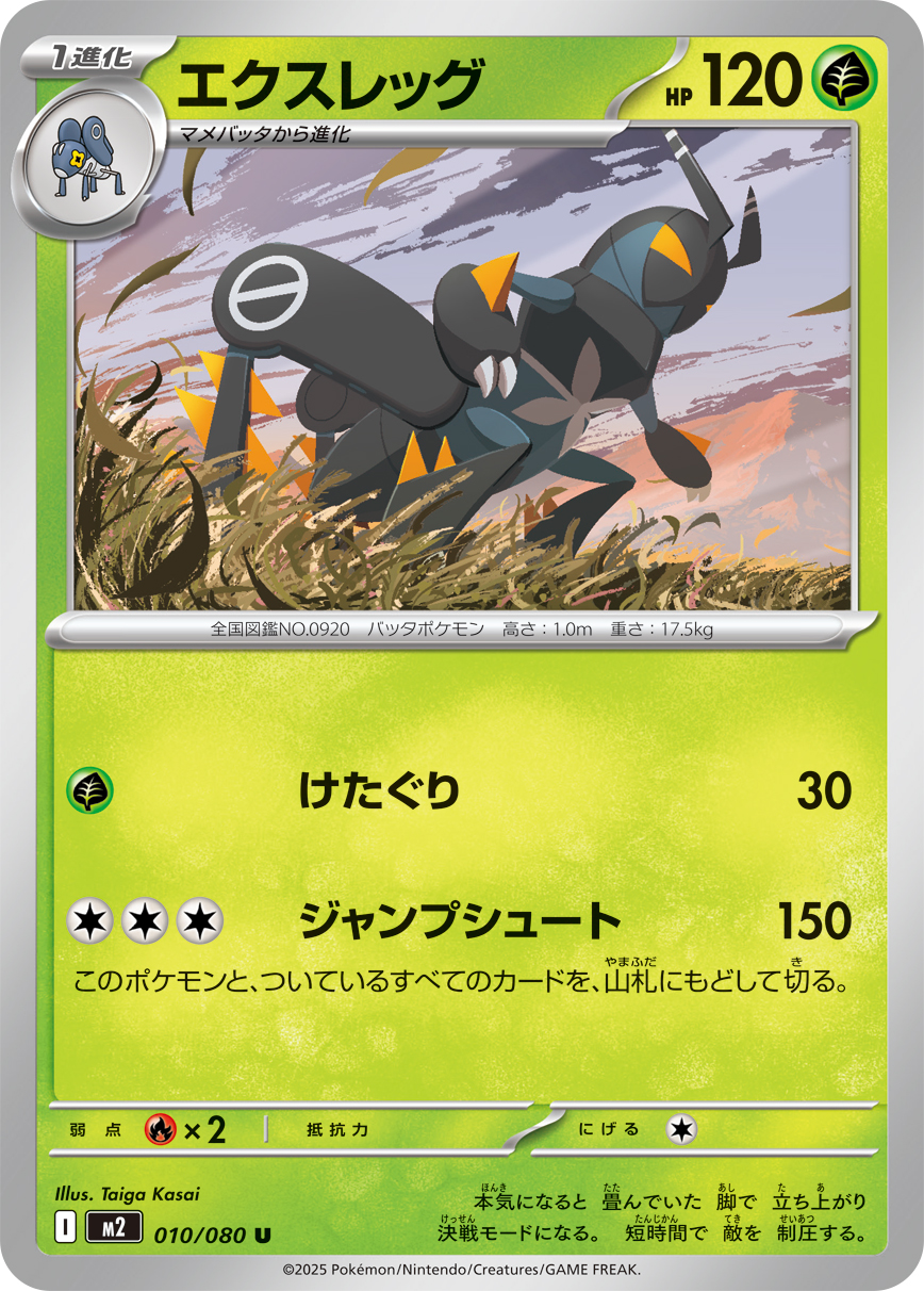 エクスレッグ【U】[m2] {010/080}