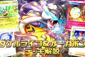 ライコポンデッキ解説｜初心者でも使いやすいタケルライコexデッキの