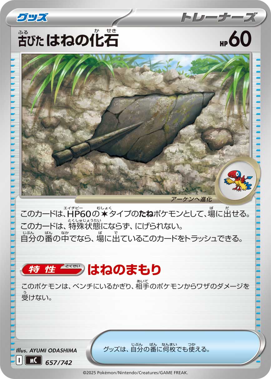 古びたはねの化石【-】[MC] {657/742}